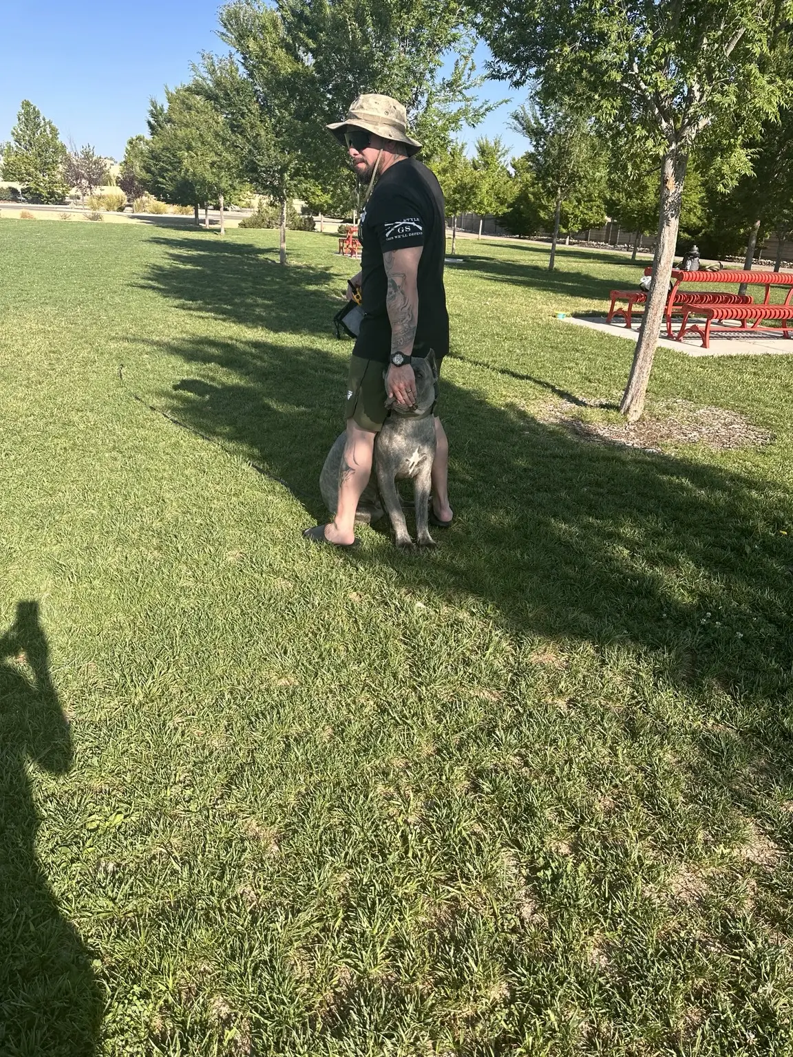 Gray dog standing calmly beside its handler in a park during behavior modification training