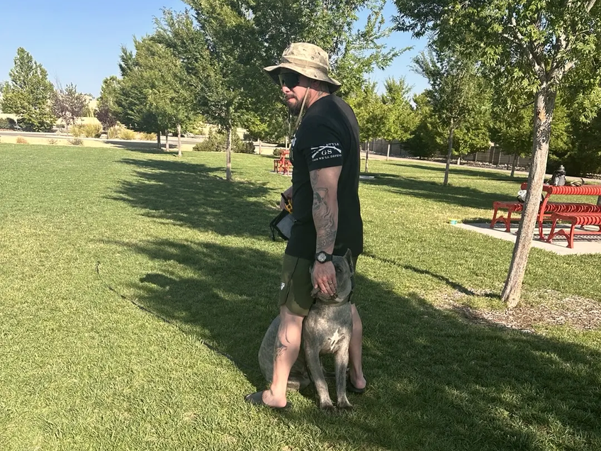 Dog working calmly with its handler during behavior modification training